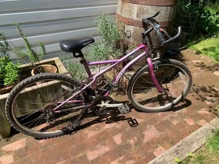 Photo of free Ladies bike all terrain (Hailsham BN27) #1