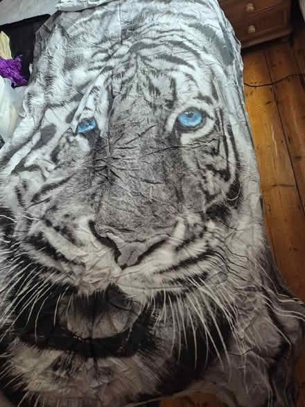 Photo of free IKEA Tiger single duvet cover with IKEA duvet also (Eton SL4) #1