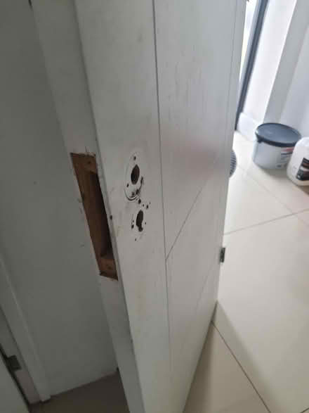 Photo of free White Tood door (Harrow HA3) #3