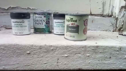 Photo of free Garden paint samples (Bognor Regis PO21) #1
