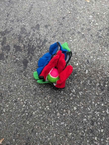 Photo of free Misc. summer toys (South Milton) #2