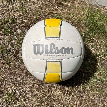Photo of free Volleyball (Teddington) #1