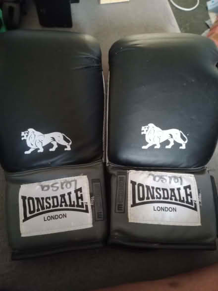 Photo of free Boxing gloves (Churchgate EN8) #1