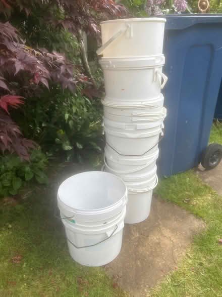 Photo of free Large white buckets used for tomato growing (Widmer End HP15) #1