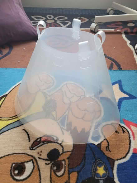 Photo of free Adjustable Recovery Dog Cone (West End LA3) #3