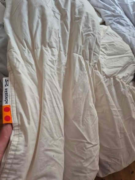 Photo of free IKEA Tiger single duvet cover with IKEA duvet also (Eton SL4) #2
