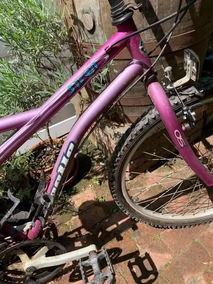 Photo of free Ladies bike all terrain (Hailsham BN27) #2