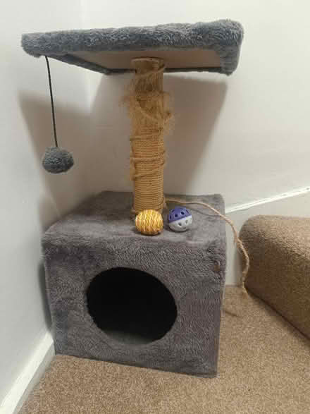 Photo of free Cat items (Ashingdon SS4) #1