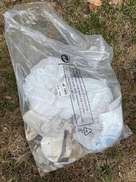 Photo of free Shells (Br29dr) #1