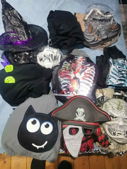 Photo of free Halloween costumes (The Nurserylands TW12) #1