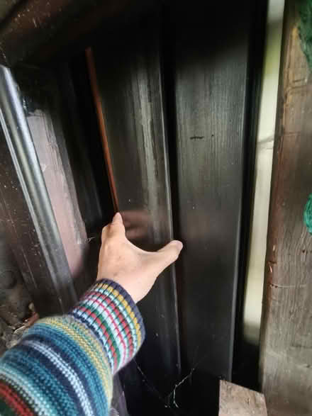Photo of free Shed project - unfinished (Lewes (Nevill)) #4
