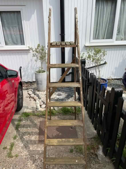 Photo of free Ladder (Sevenoaks) #1