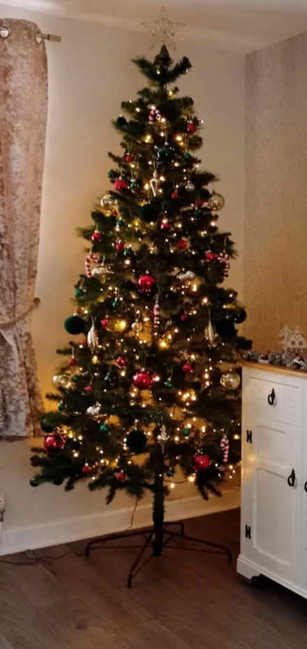 Photo of free Christmas Tree (wrexham ll13) #2