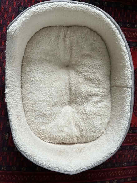 Photo of free Very comfy and large dog bed (Presteigne LD8) #1