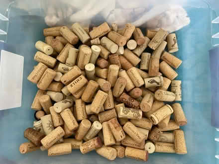 Photo of free Corks (Catonsville) #1
