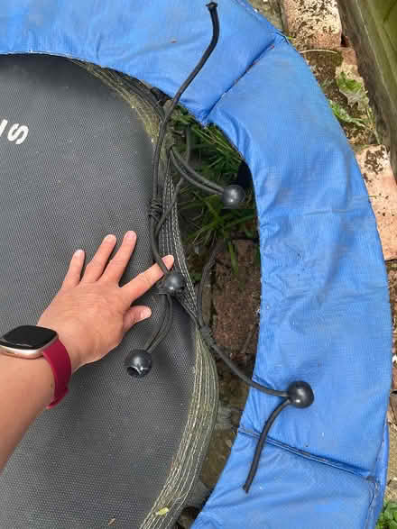 Photo of free Trampoline with bungee cords (Br29dr) #2