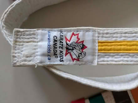 Photo of free Kids karate belts (Widcombe) #3