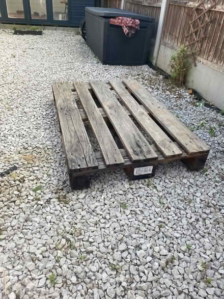 Photo of free 5 euro pallets (Chelmsford CM1) #1
