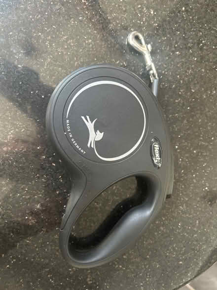 Photo of free Flexi small retractable lead (Holbrook, Belper, DE56) #1
