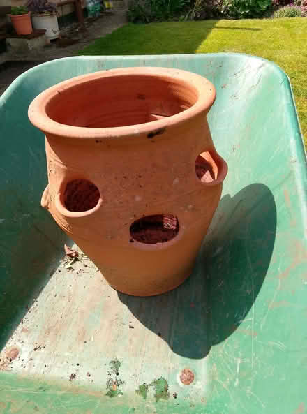 Photo of free Strawberry pot (Harefield UB9) #2