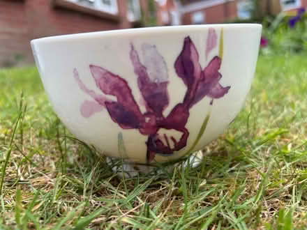 Photo of free 5 ceramic pots (Fareham PO16) #1
