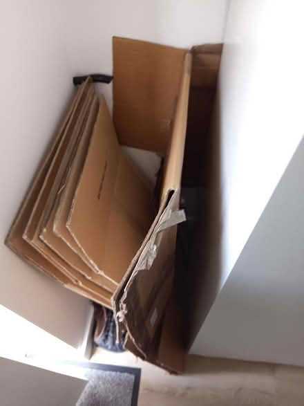 Photo of free Cardboard Moving Boxes (Dinnington, S25) #1