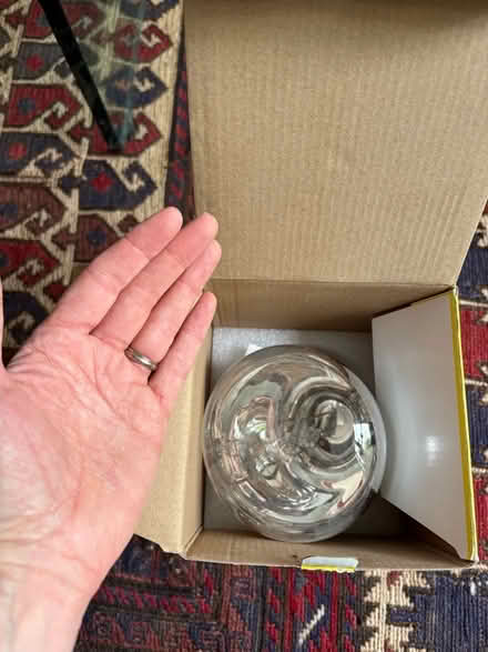 Photo of free Reptile heat bulb (E8) #3