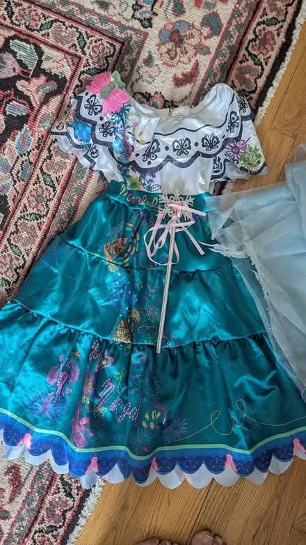 Photo of free Girls Dress-up Dresses (Alexandria, VA) #3