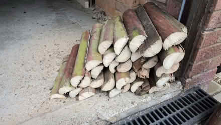 Photo of free 2 Bags of Wood (Heelands MK13) #1