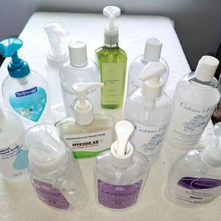 Photo of free EMPTY Soap dispenser bottles (Allison Park-- Hampton) #1