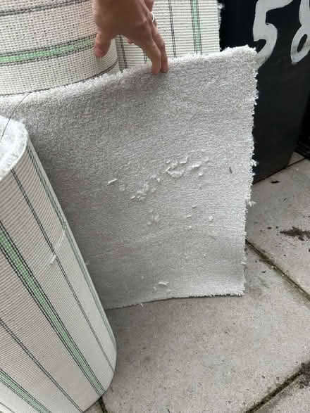 Photo of free Carpet Pieces (Hillsborough S6) #2