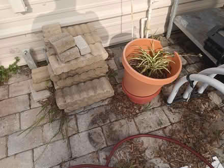 Photo of free concrete edger and/or plant (Largo near Ulmerton & Starkey) #1