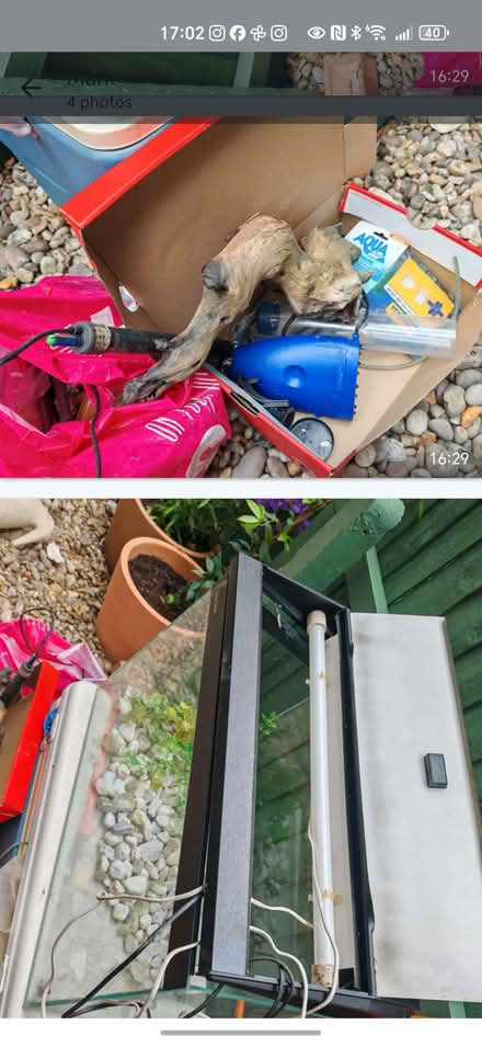 Photo of free Fish tank and accessories (Upper Walthamstow E17) #3
