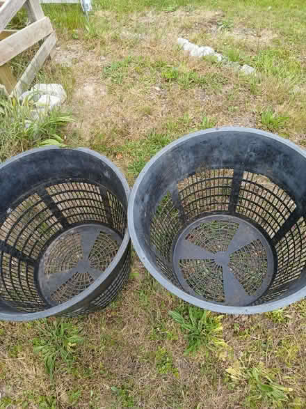 Photo of free Two pond baskets (Tillington GU28) #1
