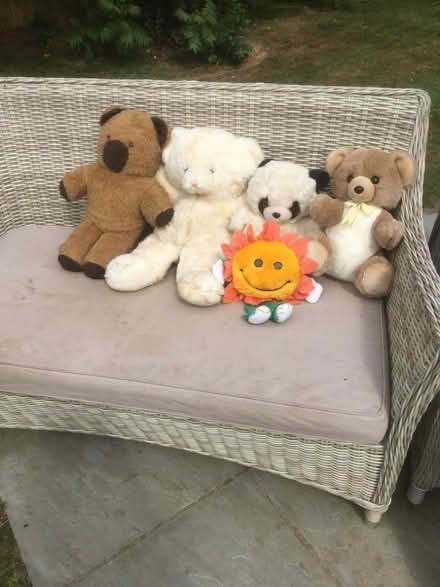 Photo of free Cuddly toys (Blundeston NR32) #1
