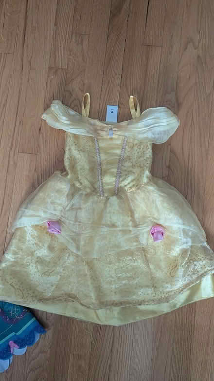 Photo of free Girls Dress-up Dresses (Alexandria, VA) #1