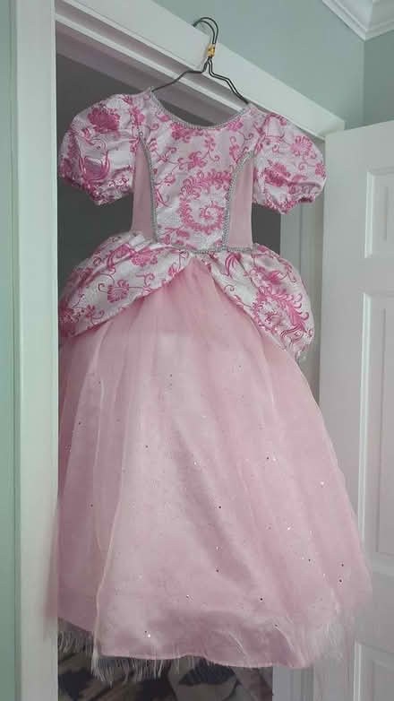 Photo of free Girls Dress-up Dresses (Alexandria, VA) #4