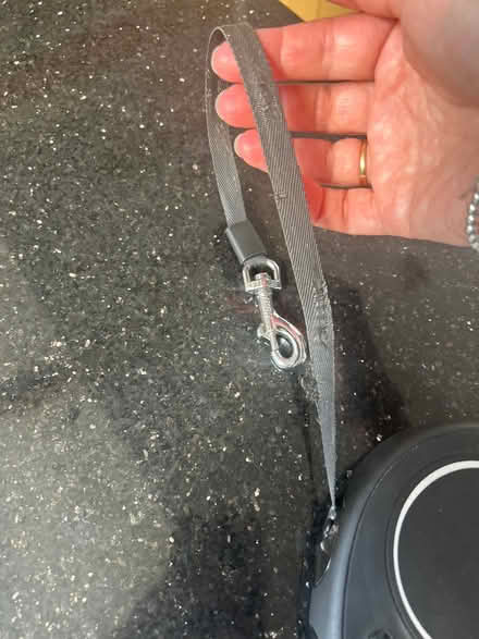 Photo of free Flexi small retractable lead (Holbrook, Belper, DE56) #2