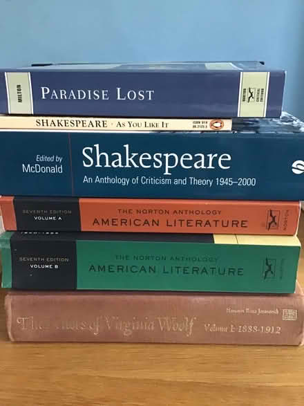 Photo of free English/American literature books (N22 near Durnsford Road) #1
