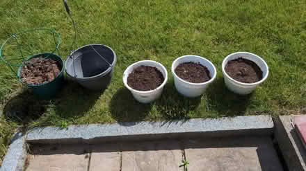 Photo of free Planting pots (Off route 62) #1