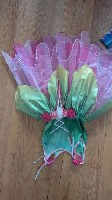 Photo of free Girls Dress-up Dresses (Alexandria, VA) #2