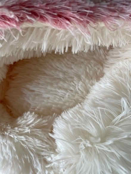 Photo of free Pink and white fluffy pet bed (Marshalswick AL4) #2