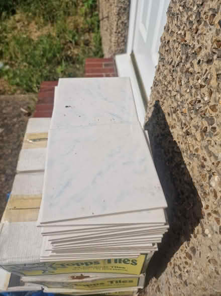 Photo of free Ceramic Tiles (SE19) #3