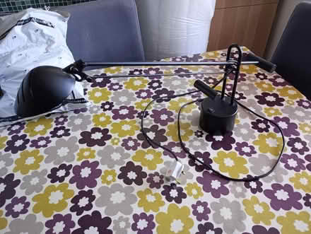 Photo of free Adjustable halogen desk lamp (Royston SG8) #2