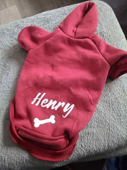 Photo of free Dog Hoodie (Reddish SK5) #1
