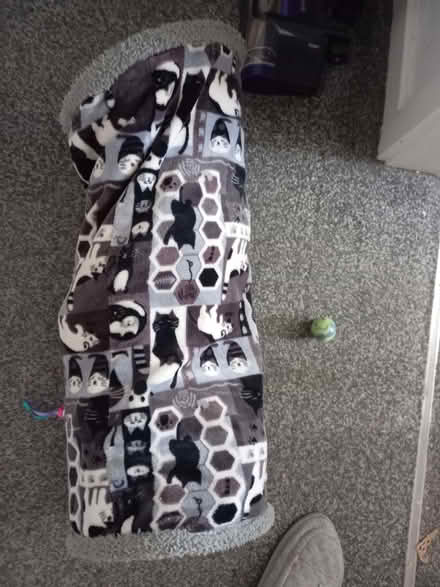 Photo of free Kitten Tunnel (Staincliffe WF13) #1