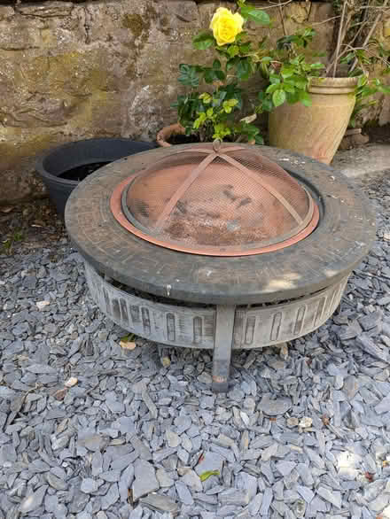 Photo of free Fire Pit (Pant SY10) #2
