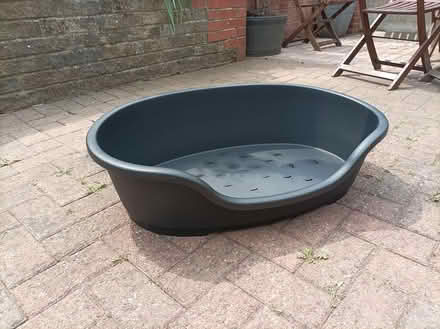 Photo of free Dog bed (Darley Abbey, Derby DE22) #2