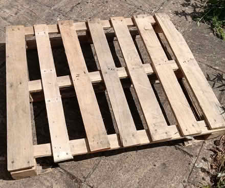 Photo of free Pallet (Chippenham SN15) #1