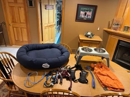 Photo of free Medium Size Dog Things (Rochester) #1